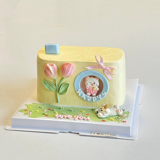 Pastel Camera Bliss Cake